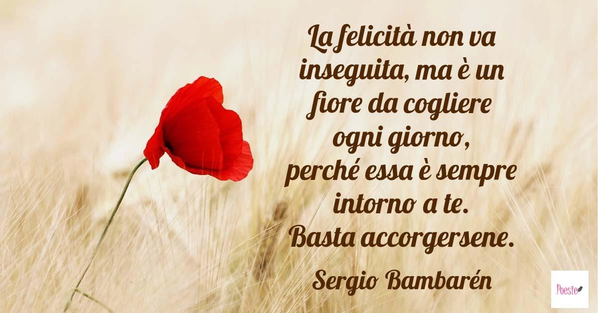 Frasi Natale Libri.Frasi Del Libro L Onda Perfetta Sergio Bambaren Frasi Dei Libri Poesie Reportonline It